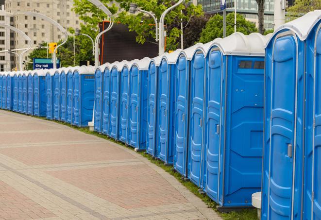 a row of portable restrooms ready for eventgoers in Albany